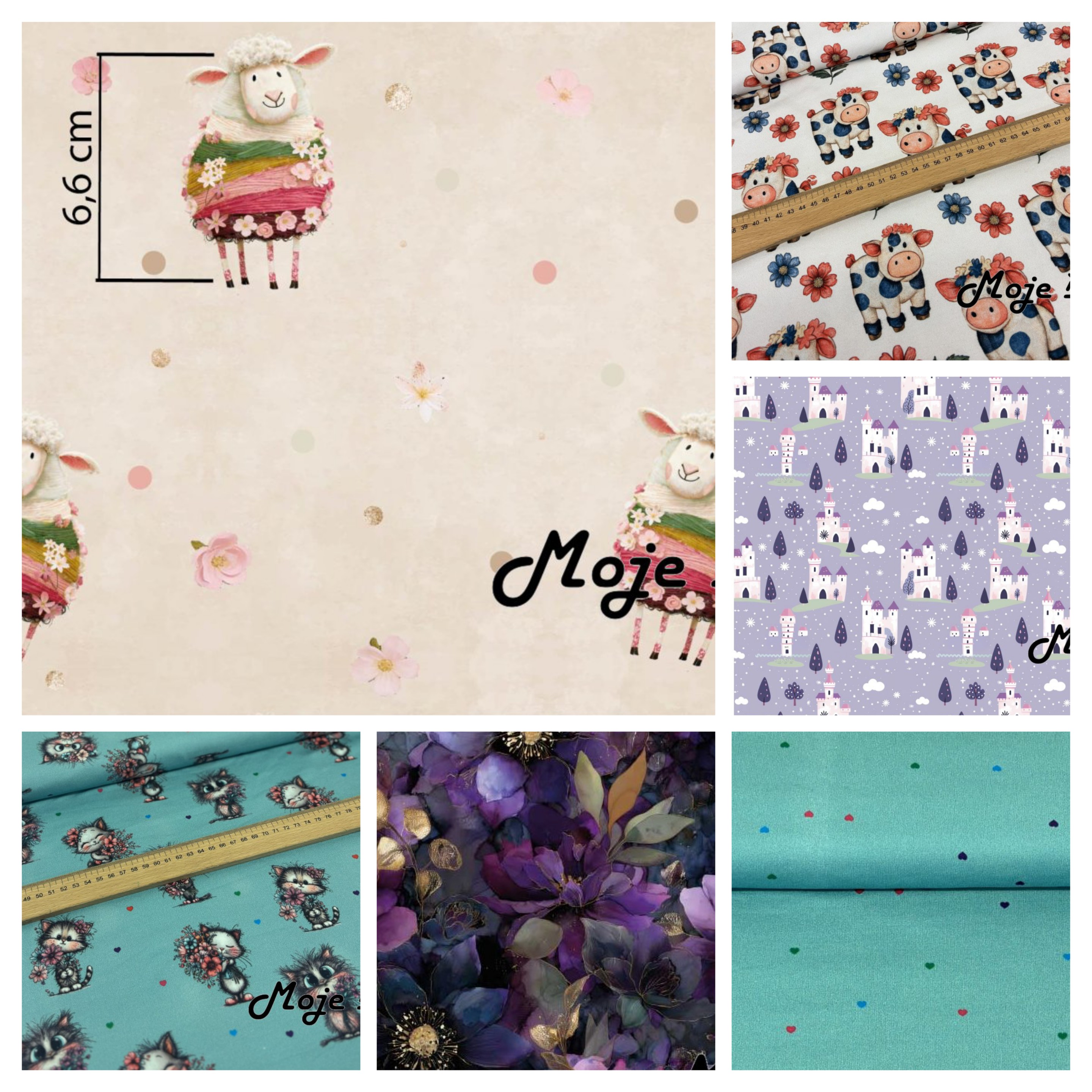 20260131_104050-COLLAGE